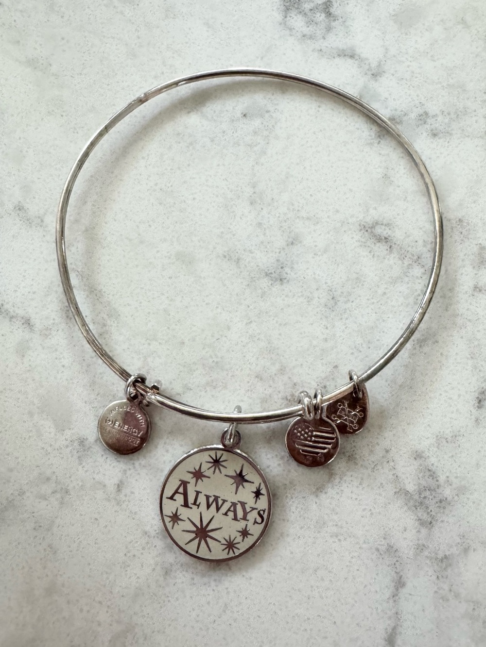Alex and Ani Silver-Tone Logo Charm Bangle